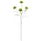 Green Carnation Stem by Ashland&#xAE;